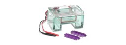 Gel Electrophoresis Equipment and Supplies