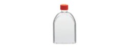 Cell Culture Flasks