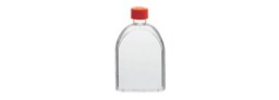 Cell Culture Flasks