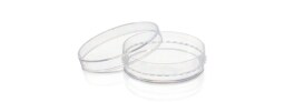 Shop cell culture dishes