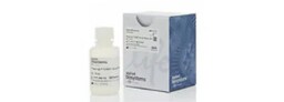 Real-Time PCR Master Mixes 