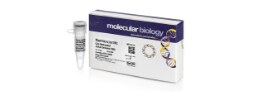 DNA Sequencing 