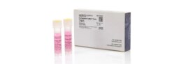 Real-Time PCR Assays and Arrays 
