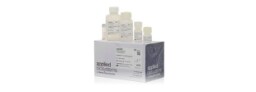 RNA Isolation and Purification 