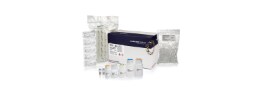 DNA Extraction and Purification 