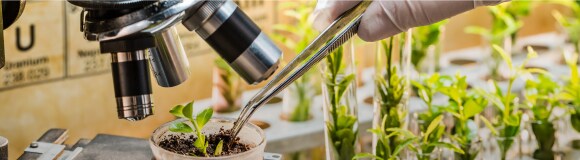 Agriscience and Agrochemicals Testing Agriscience and Agrochemicals Testing