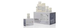 RNA Isolation and Purification