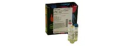 In vitro Protein Expression Systems
