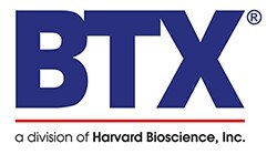 BTX Logo BTX Logo