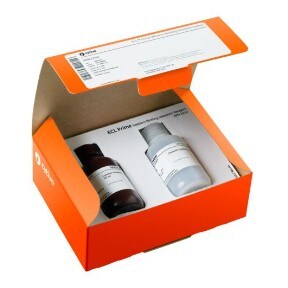cytiva-image-ecl-prime-19-357