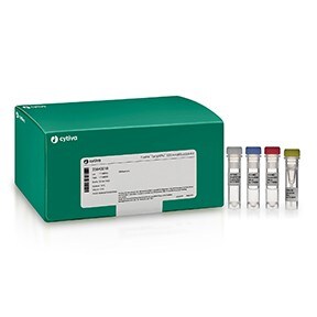 templi-phi-100-amplification-kit-21-1689