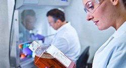 Cell Culture