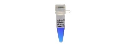 fisher-bioreagents-electrophoresis-22-1455