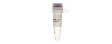 fisher-bioreagents-enzymes-22-1455
