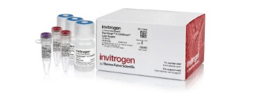 Reverse Transcription Products Reverse Transcription Products