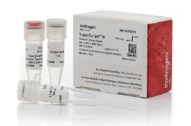 Invitrogen SuperScript IV Reverse Transcriptase Invitrogen SuperScript IV Reverse Transcriptase