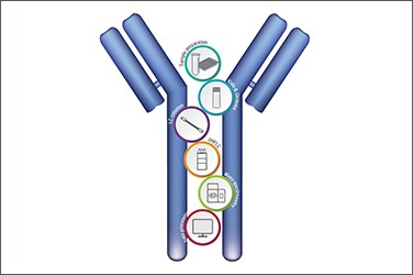 Protein and Gene Therapeutics Protein and Gene Therapeutics