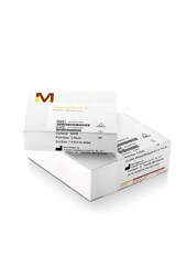 milliporesigma-immobilon-e-blotting-sandwich-19-1881 milliporesigma-immobilon-e-blotting-sandwich-19-1881