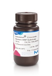 immobilon-crescendo-19-1881
