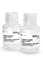ReBlot-Antibody-Stripping-Solution-18-2865- ReBlot-Antibody-Stripping-Solution-18-2865-