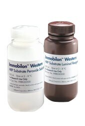 Immobilon-Western-Chemiluminescent-HRP-Substrate-18-2865- Immobilon-Western-Chemiluminescent-HRP-Substrate-18-2865-