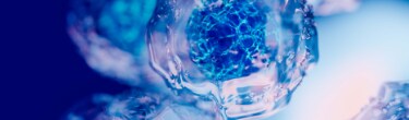 Cell Analysis Methods Cell Analysis Methods