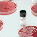Petri dishes
