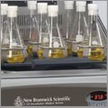 Beakers