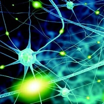 neurons neurons