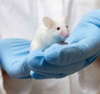 chemical-toxicity-testing-article chemical-toxicity-testing-article