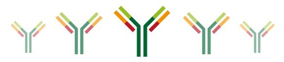 lab-reporter-antibody-buying-guide lab-reporter-antibody-buying-guide