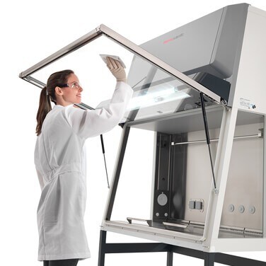 cell-therapy-lpd-1570