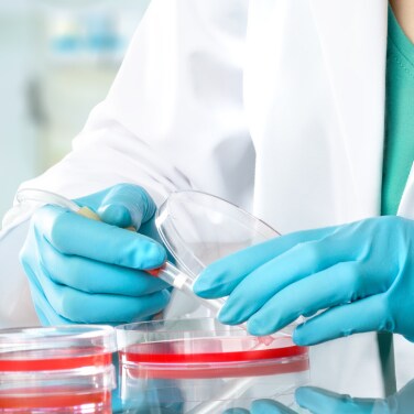 Specialized Plastics for Cell Therapy Research