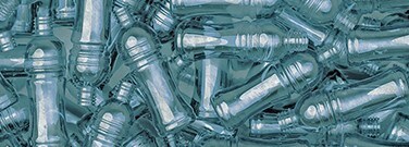 Is “BPA-Free” Worry Free?