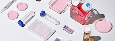 Providing Cell Culture Excellence