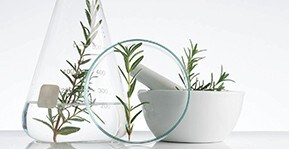 Strategies for a More Sustainable Lab