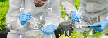A Matter of Taste: How Food Science Is Improving What We Eat &amp; Drink