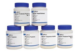 gibco-peptone-starter-pak2-20-0581 gibco-peptone-starter-pak2-20-0581