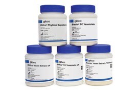 gibco-peptone-starter-pak1-20-0581 gibco-peptone-starter-pak1-20-0581