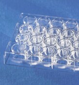 permeable-supports-21-0703 Corning™ Transwell™ Multiple Well Plates with Permeable Polyester Membrane Inserts