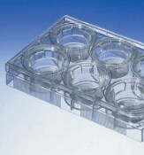 permeable-supports-2-21-0703 Corning™ Transwell™ Multiple Well Plates with Permeable Polycarbonate Membrane Inserts