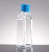 treated-flasks-21-0703 Falcon Tissue Culture Treated Flasks