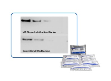 Blotting & Imaging