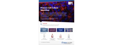 MP Biomedicals Primary Cell Culture Workflow Flyer MP Biomedicals Primary Cell Culture Workflow Flyer