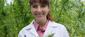 Cannabis Laboratory and Safety Program Cannabis Laboratory and Safety Program