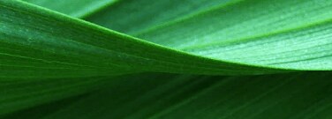 Greener Choice Program