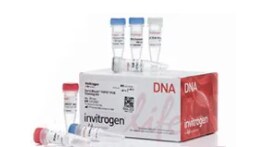 Invitrogen Molecular Biology Kit