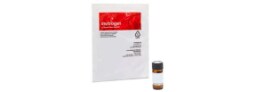 Protein Labeling Reagents