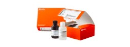 Molecular Biology Reagents and Kits