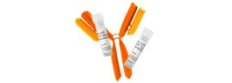 Antibodies